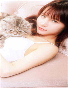 猫眼