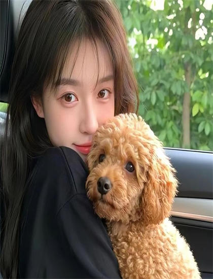 影视评论：《京都机密》的艺术价值与娱乐性平衡